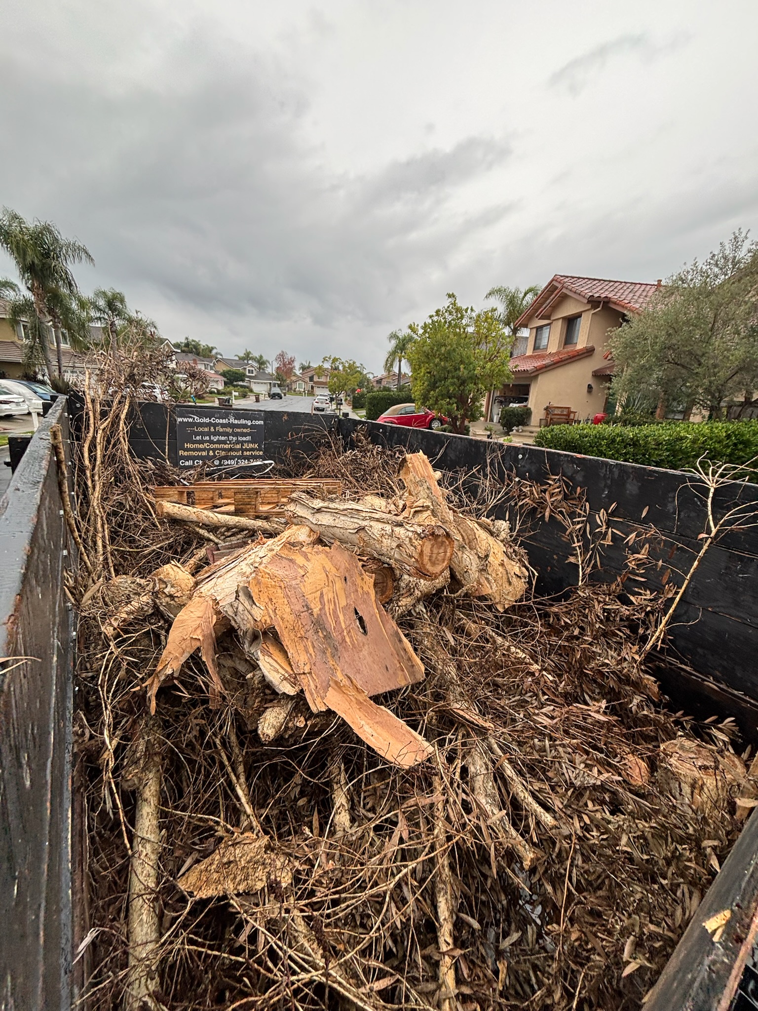 Local backyard cleanup in Lake Forest